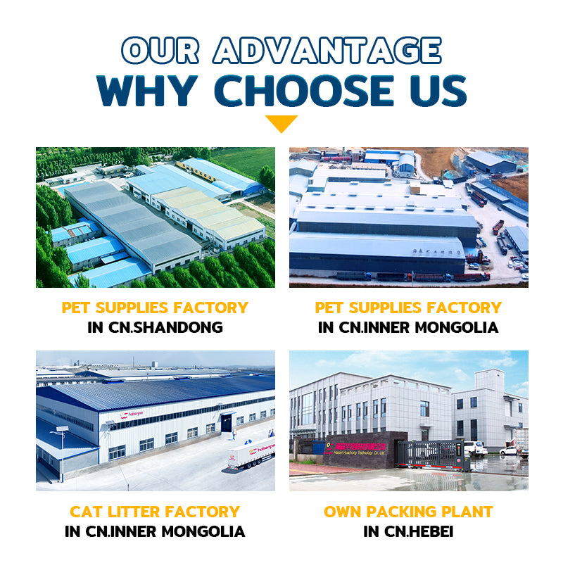 Fragrant Clumping Bentonite Cat Sand | Coffee, Lemon, Lavender Scents + Free Sample